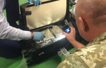 Пес Фарт оказался нефартовым для контрабандистов: в "Борисполе" он нашел чемодан с кокаином (фото)