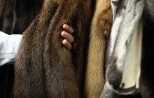 У Лос-Анджелесі заборонили виробництво та продаж натурального хутра