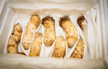 Кім Чен Ин подарував президенту Південної Кореї дві тонни грибів