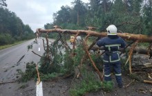 Ураган на западной Украине повалил деревья (фото)
