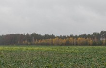 Компания Бахматюка ремонтирует дорогу во Львовской области