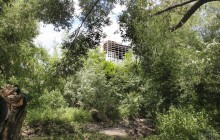 Ukraine imposes restrictions on construction in urban green spaces
