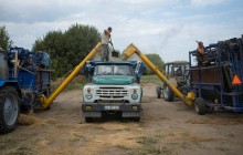 В Україні збирають врожай: скільки зерна намолотили аграрії