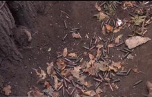 Военные рассказали о попытке боевиков совершить прорыв на Луганщине (видео)