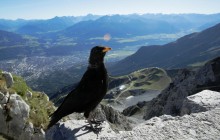 2020 рік у Швейцарських Альпах видався найтеплішим в історії