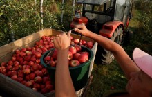 Податкові новації в Україні дадуть притік робочої сили сусіднім країнам – соціологи