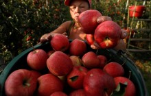 Кожен шостий заробітчанин може мати проблеми з пенсією - міністр соцполітики