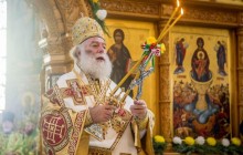 Предстоятель Олександрійської Церкви закликав припинити кровопролиття на сході України (відео)