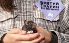 Animal rights activists hold rallies in 20 Ukrainian cities (Photos, video)