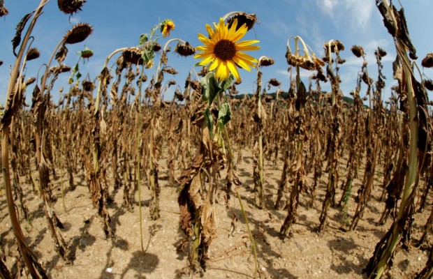 21 серпня: народне свято і традиції, прикмети погоди