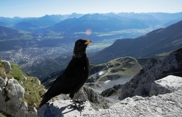 Reuters показал живописные альпийские пейзажи неподалеку от австрийского Инсбрука (фоторепортаж)