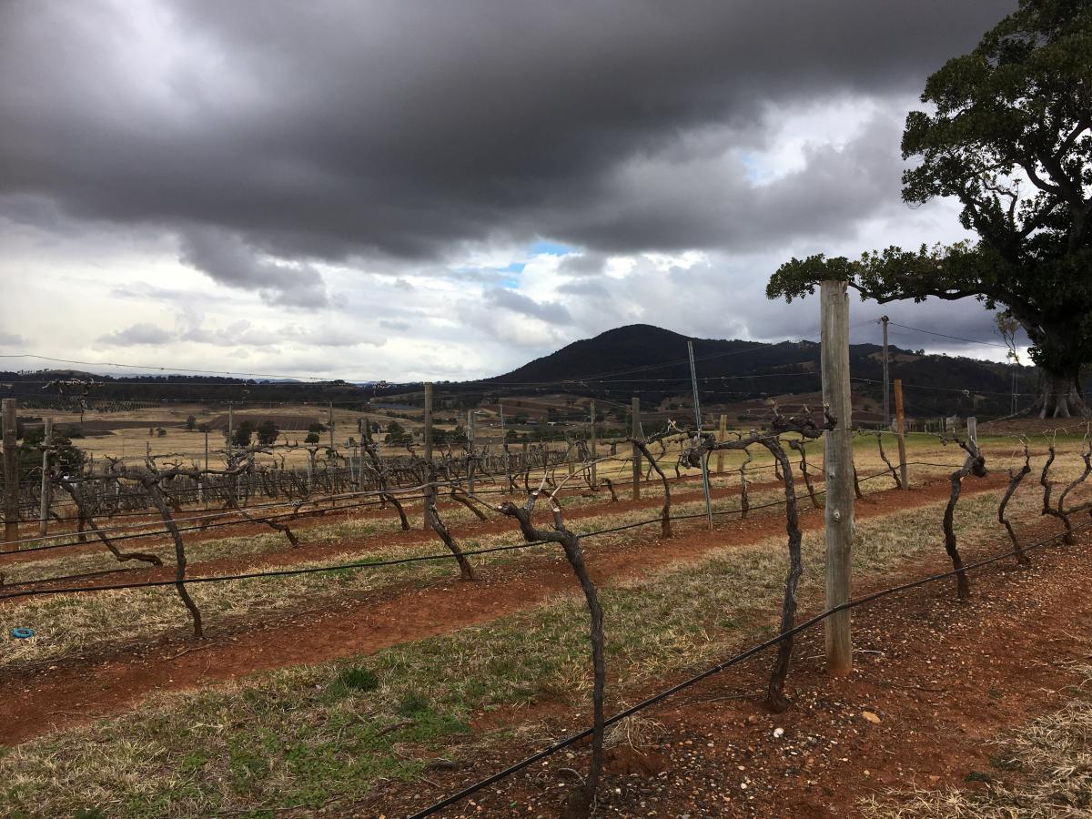 Иллюстрация / REUTERS