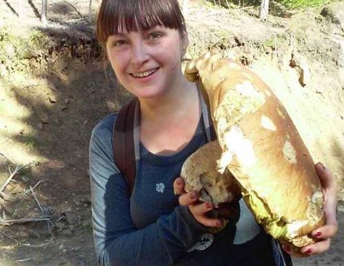 В Львовской области грибники нашли огромный гриб / фото facebook.com/groups/Hryby.Ukrayiny