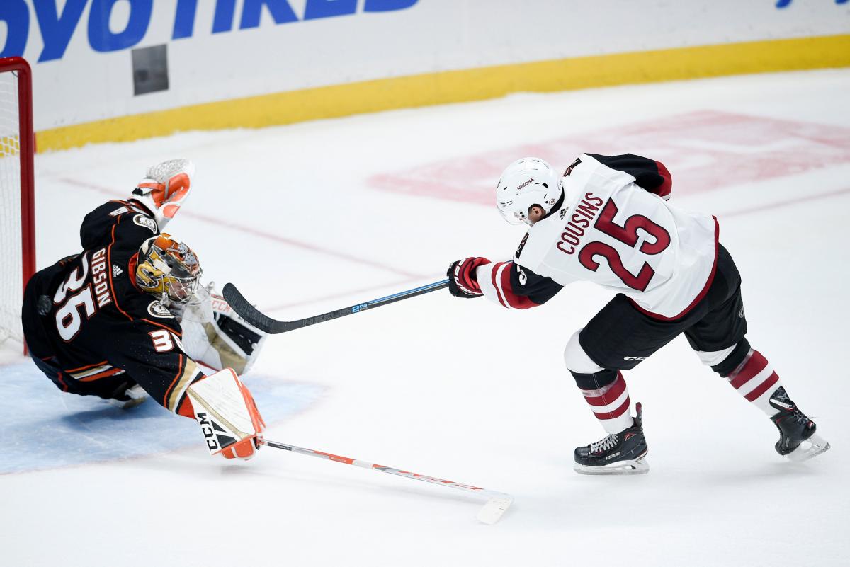 Анахайм - Аризона / REUTERS