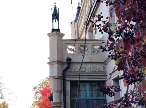 У кадрі не видно ні дітей, ні Пугачової / Скріншот