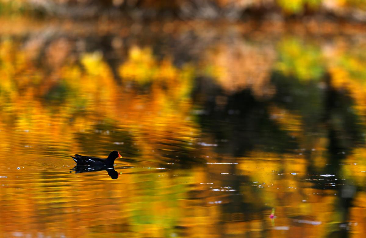 Иллюстрация / REUTERS