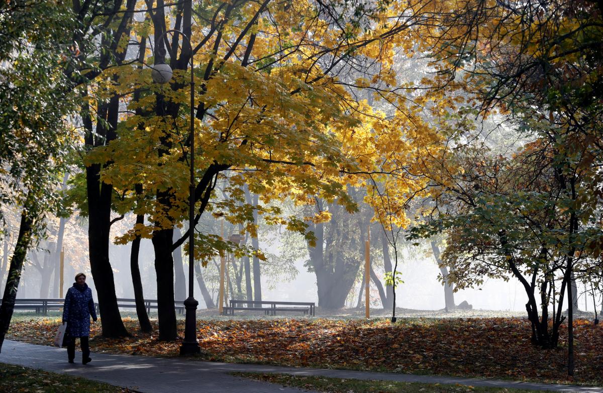 Иллюстрация REUTERS