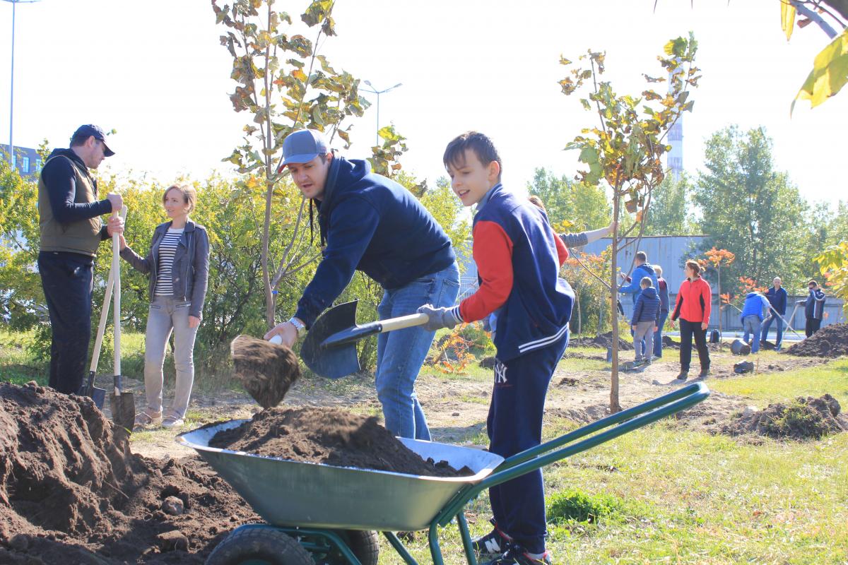«Купил машину? Посади дерево!»: Тойота-Украина инициировала озеленение Киева