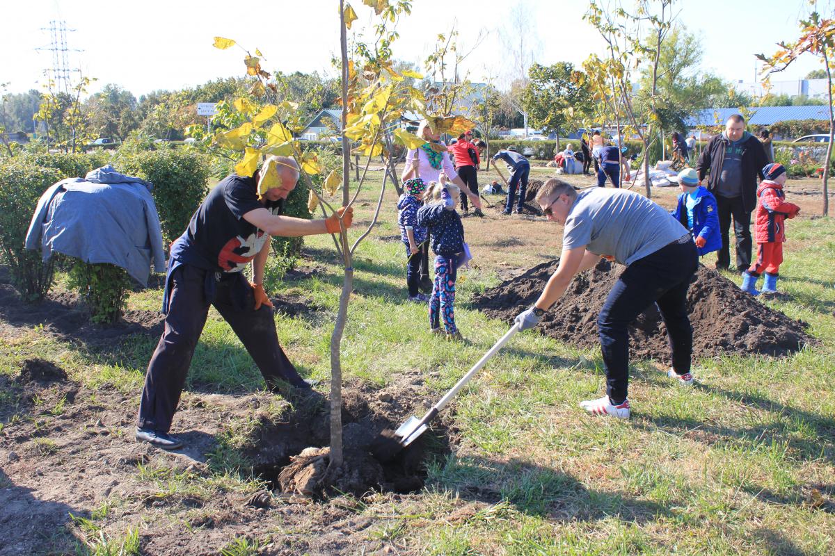 «Купил машину? Посади дерево!»: Тойота-Украина инициировала озеленение Киева