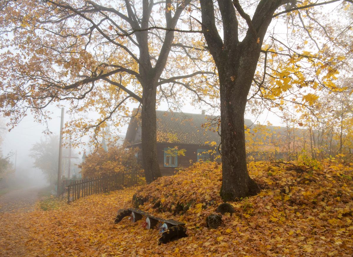 Ілюстрація / REUTERS