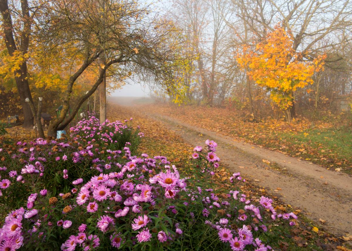 Иллюстрация / REUTERS