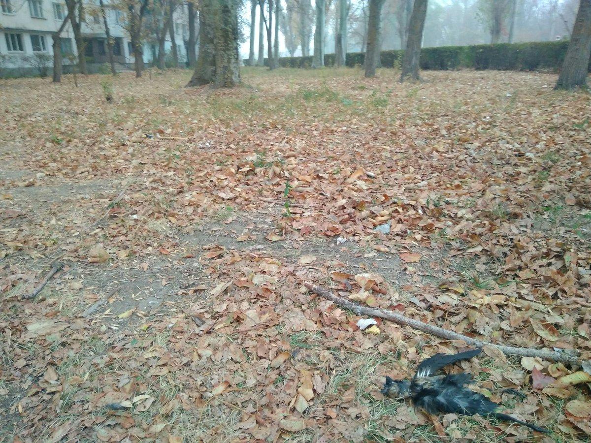 фото RoksolanaToday&Крым