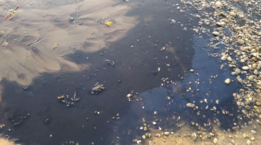 У Криму завод забруднює море / twitter.com/KrimRt