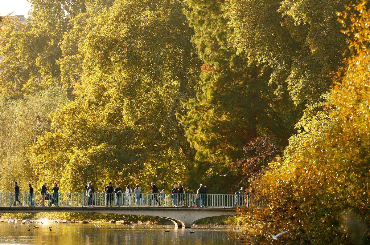 Иллюстрация REUTERS