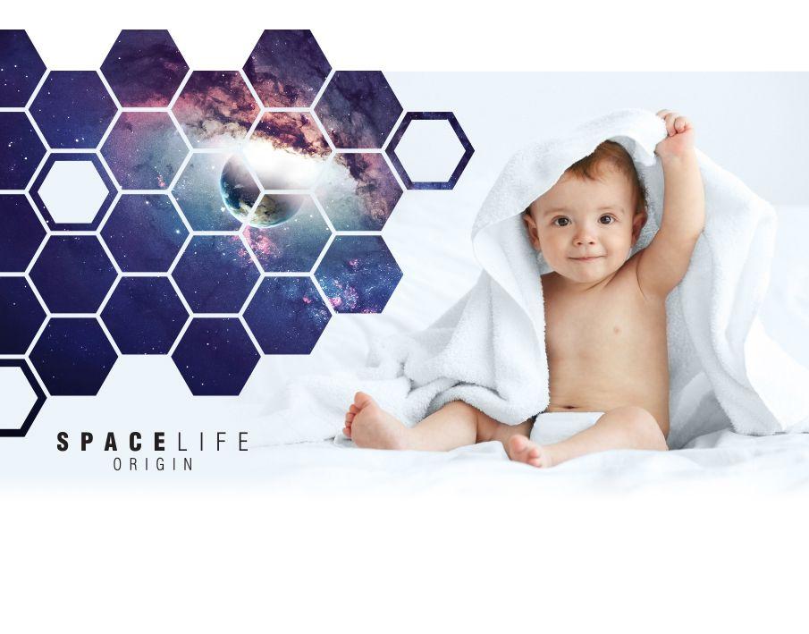 Эксперимент планируют провести в 2024 году / фото spacelifeorigin.com Эксперимент планируют провести в 2024 году / фото spacelifeorigin.com