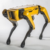 Каскадеры, танцоры и помощники на кухне: что умеют роботы Boston Dynamics (видео)