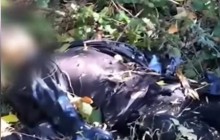 У мережі показали моторошні кадри з місця підриву на міні дітей біля Горлівки (відео)