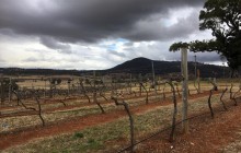 Вересень-2018 став найбільш посушливим в історії Австралії