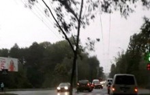 У Хмельницькому вирувала негода: сильний вітер повалив дерева