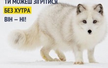Супрун "разнесла" меховые фермы в Украине: уничтожают окружающую среду и вызывают рак