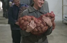 Православные Ровенщины передали в Святогорскую лавру 110 тонн картофеля для переселенцев с востока