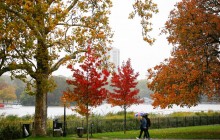 З кожним днем буде все холодніше: синоптики дали прогноз на листопад