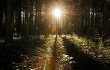 В Україні сьогодні сонячно, але західні області накриють осінні грози