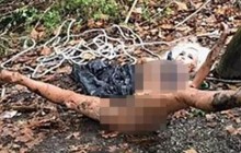 В США полиция обнаружила в лесу секс-куклу и приняла ее за труп (фото)