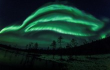 Пережити карантин і не з'їхати з глузду: найкращі заспокійливі онлайн-трансляції природи (відео)