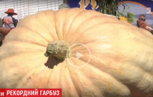 На фестивале в США показали чудо-тыкву весом в почти тонну (видео)