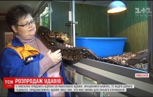 Николаевский зоопарк начал распродажу маленьких удавов (видео)