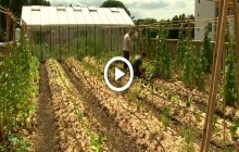 Небесная ферма: в Брюсселе на крыше супермаркета выращивают овощные плантации (видео)