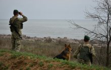 На півдні ЗСУ знищили станцію радіоелектронної боротьби та вдарили по позиціях російської ППО