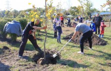 «Купив машину? Посади дерево!»: Тойота-Україна ініціювала озеленення Києва