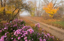 В Украине завтра практически без осадков, температура до +22° (видеопрогноз)