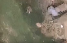 "Badaboom" for invaders: Ukrainian officer posts video of UAV strike on militant positions