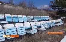 Зарослий пустир замість футбольного поля: як виглядає база Таврії в окупованому Криму (відео)