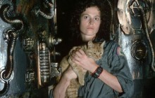 Рыжий кот из фильма «Чужой» получит собственную историю