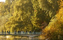 Теплый воздух в Украине удержится еще несколько дней – синоптики