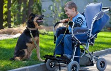 Следующее воскресенье в Фельдман Экопарк посвятят особым людям